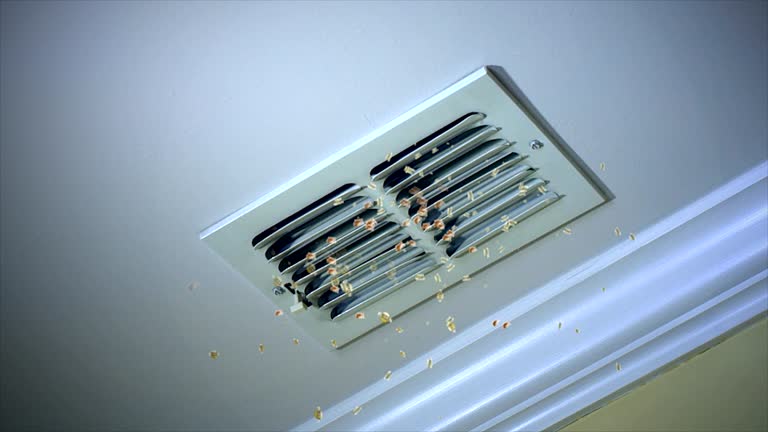 Best Affordable HVAC Duct Cleaning  in Hattiesburg, MS