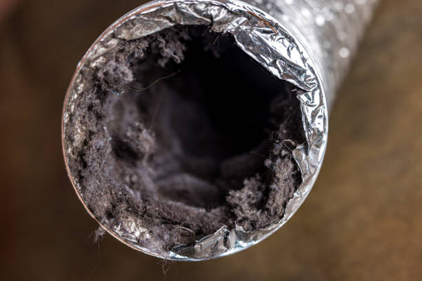 Best Ventilation Cleaning Services  in Hattiesburg, MS